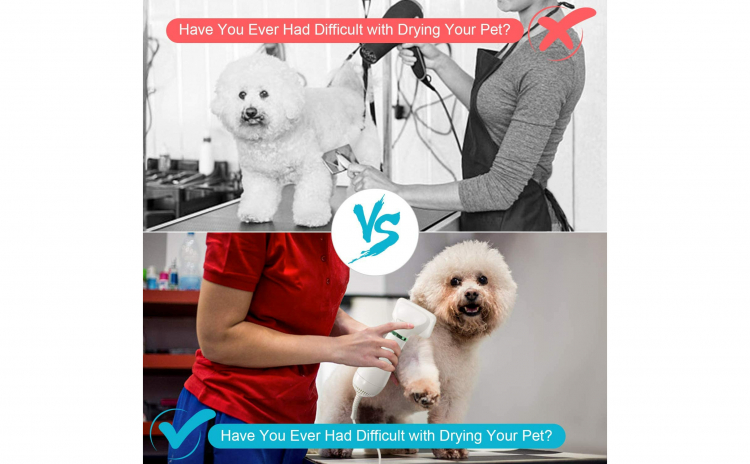Aparat ingrijit animale Pet Grooming Dryer