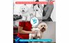 Aparat ingrijit animale Pet Grooming Dryer