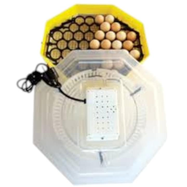 Incubator electric oua (clocitoare) cu termometru Cleo 5T, 230 V, 60 oua capacitate, PENDAN, 38°C temperatura incubare