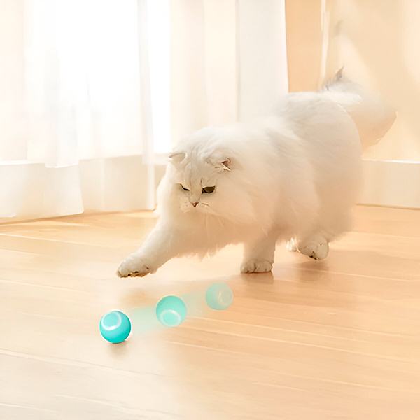 Minge cu rulare automată pentru animale de companie + Perie cu Abur pentru animale